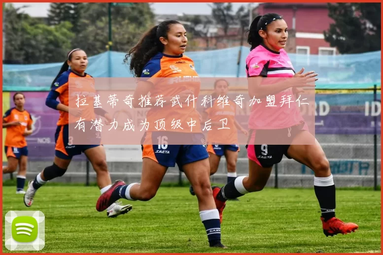 拉基蒂奇推荐武什科维奇加盟拜仁有潜力成为顶级中后卫